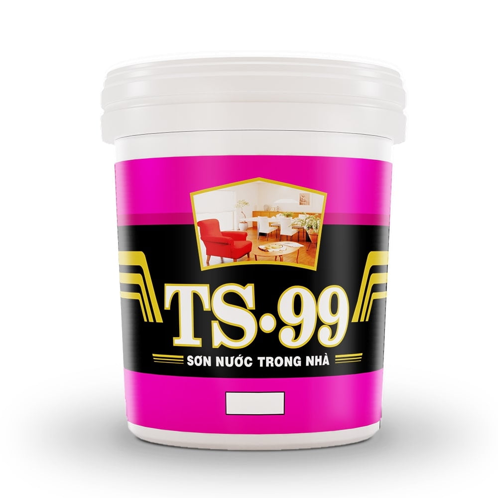 TS99 Nội Thất